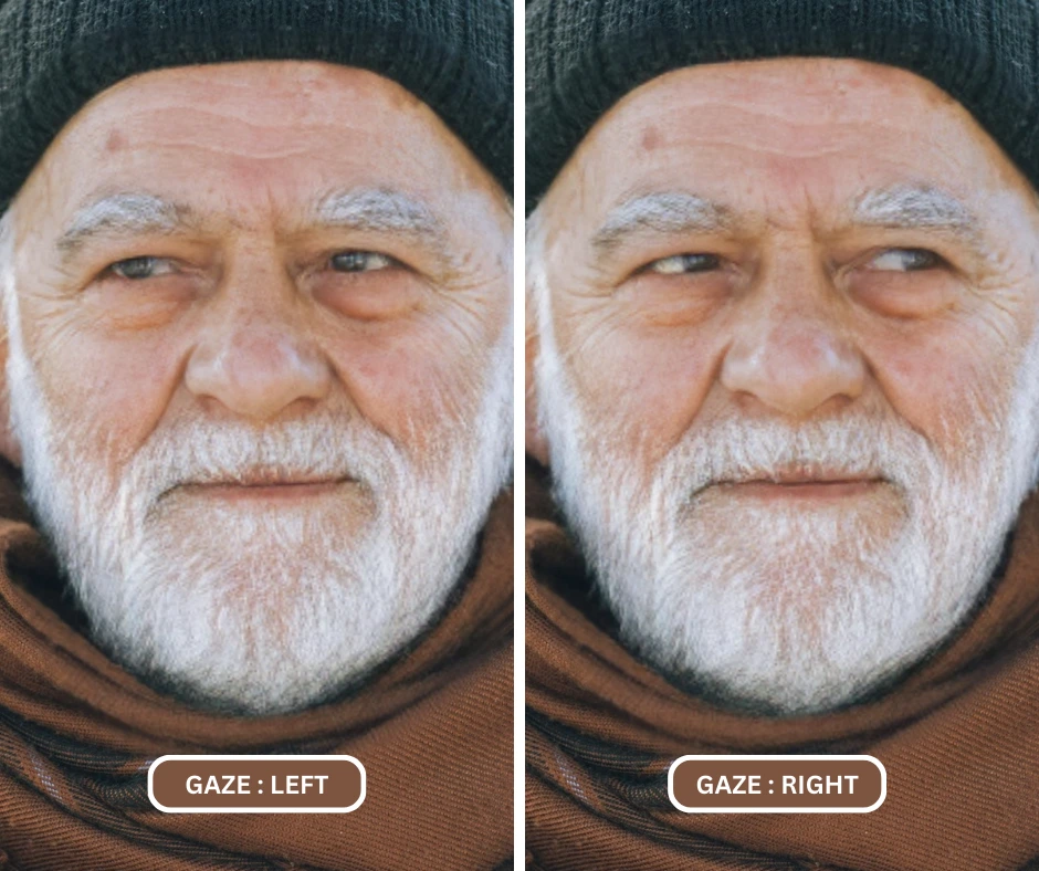 eye direction changer app gaze right on an image of an old man using eraseid