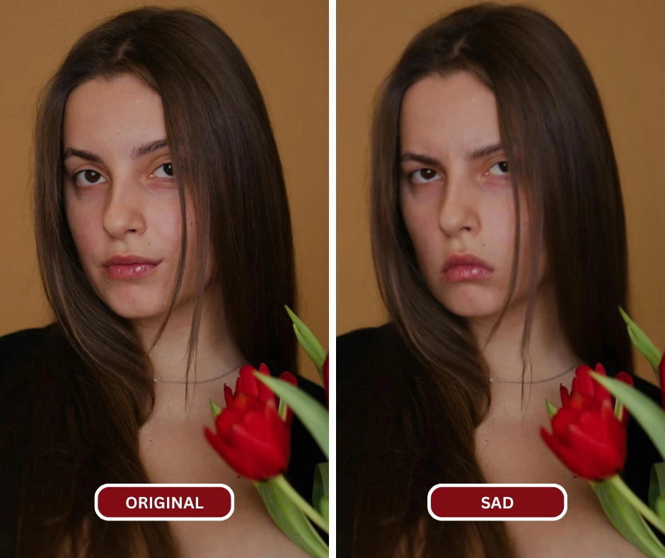 Sad Face AI by EraseID being used on an image of a woman holding red tulip